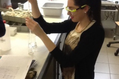 Chemistry Experiment